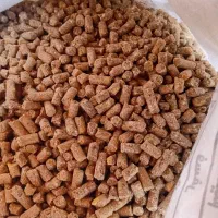 خریدار حواله خوراک|فعالیت داوطلبانه|تربت جام, میان جام|دیوار