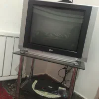 تلوزیون