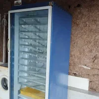 دستگاه جوجه کشی بلدرچین دماوند