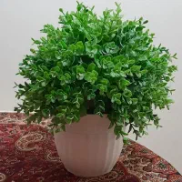 گل تزئینی مصنوعی|گل مصنوعی|اصفهان, خواجو|دیوار