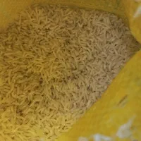 برنج هاشمی|خوردنی و آشامیدنی|شفت, |دیوار