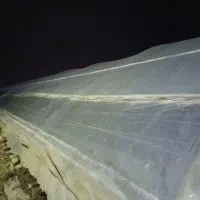 گلخانه اجاره داده میشود