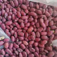 مزرعه نمونه شهریار خالدیان