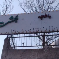 تابلو تگزاسی بزرگ بشقاب