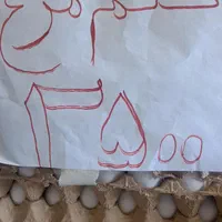 تخم مرغ۲۵۰۰.