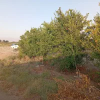 فروش-زمین-کشاورزی