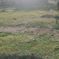 زمین کارگر ۸