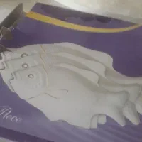 ظروف  چینی مقصود