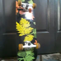 اسکیت برد|دوچرخه، اسکیت، اسکوتر|فردیس, فردیس|دیوار