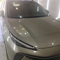 دیتیلینگ احمدی