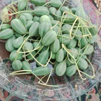 خانم هستم...برای پذیرایی در مجالس آماده خدمت هستم