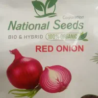 فروش بذر پیاز قرمز خارجی