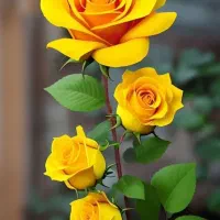 با سلام فروش یه خطت 09126601520