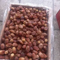 خرمای زاهدی|خوردنی و آشامیدنی|شیراز, خلدبرین|دیوار