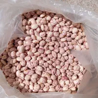 لوبیا چیتی درجه یک  پاک شده و تمیز ارسال رایگان