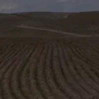 فروش زمین کشاورزی در منطقه گلخانه ای