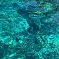 همخونه میشم