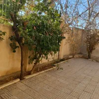 خانه اجاره ای|اجارهٔ خانه و ویلا|صحنه, |دیوار