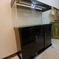 اکواریم شرکتی شیشه خم ۱۲۰.۶۰.۴۰ برند ماهیران|ماهی|تهران, تهرانپارس غربی|دیوار