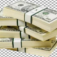 شریک سرمایه گذار