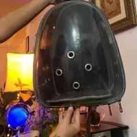 کیف/کوله حمل سگ و گربه