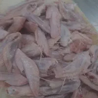 ضایعات مرغ برای سگ