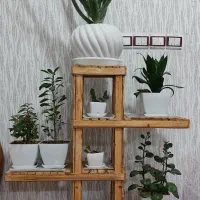 گل طبیعی و استند زیبا