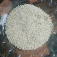 فروش برنج چمپا لردگان|خوردنی و آشامیدنی|شهرکرد, |دیوار