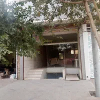 اجاره مغازه همکف وزیر زمین|اجارهٔ مغازه و غرفه|یزد, |دیوار