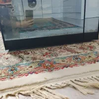 فرآون توستر