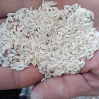 برنج علی کاظمی