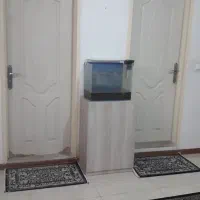 آکواریوم و رگلاتور گاز