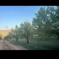 باغ-شهری-واقع-در-دالین-2000000000-تومان