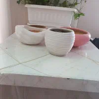 تعدادی گلدان سفالی در حدنو