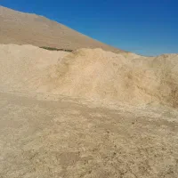 کاه گندم