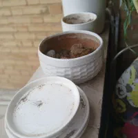 ۴عددگلدان سرامیکی همش ۹۵۰ باخاک وزیرگلدانی
