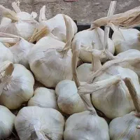 سیر استان همدان شهرستان تویسرکان