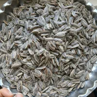 تخمه بو داده پنیری