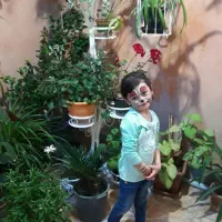 استند گل (۱۲ عدد گل جا میگیره )