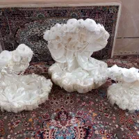 طبق اجاره ای|خدمات پذیرایی، مراسم|کاشان, فاز ۲ ناجی آباد|دیوار