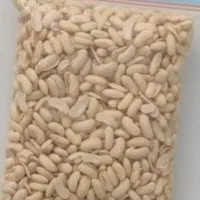 باقالی قاتوق ( لوبیا کشاورزی ) پاک شده کاملا خشک
