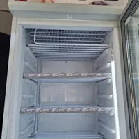 فریزر ایستاده فروشگاهی الکترواستیل|فروشگاه و مغازه|بندرعباس, |دیوار