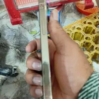 آیفون 13 پرو مکث 256 تک سیم