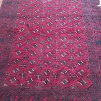 فروش فرش دست بافت پشم|فرش|رضویه, |دیوار