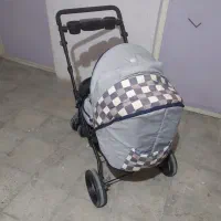 کالسکه دلیجان