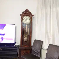 ساعت کنار سالنی