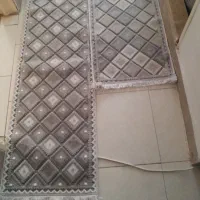 دوعدد پادری نوسالم