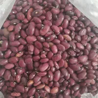 لوبیا قرمز امسالی