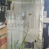 آکواریوم با ماهی