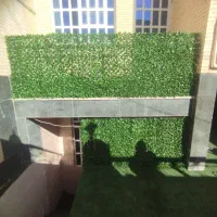 طرح برگ پرتقالی فنس پر تراکم|گل و گیاه طبیعی|یزد, |دیوار